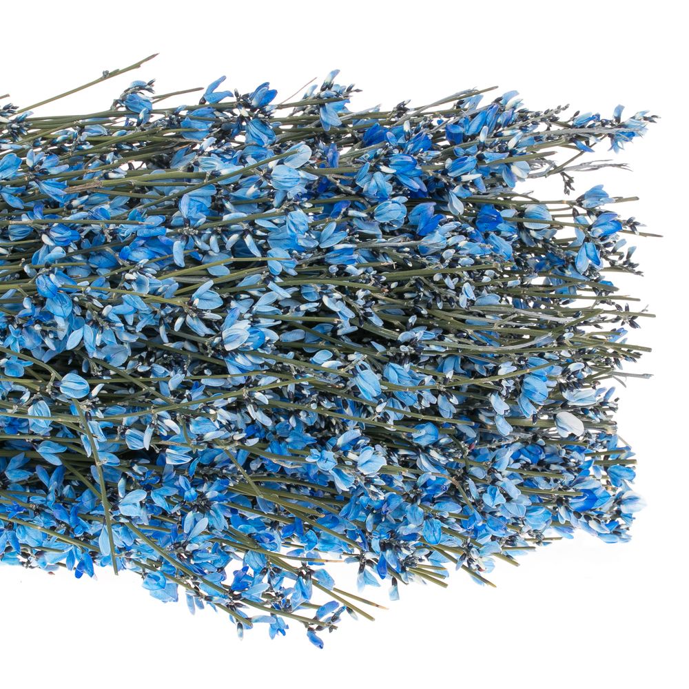 Ginster blau 400 Gramm
