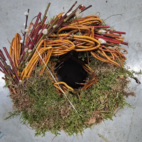 Kranz grün Moos/Cornus D30cm (B25)