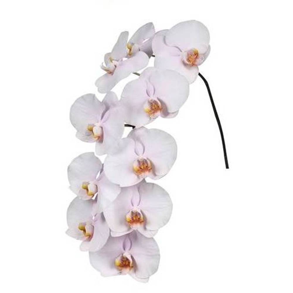 Phalaenopsis hell rosa Alpha 7-9 Blüten 60cm