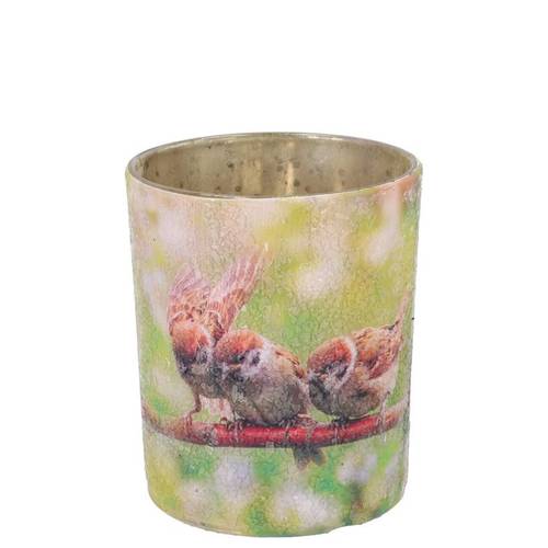 Glas Teelicht April Vogel grün 08x09x09cm