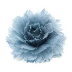 Klammer Feder Rose blau D11cm