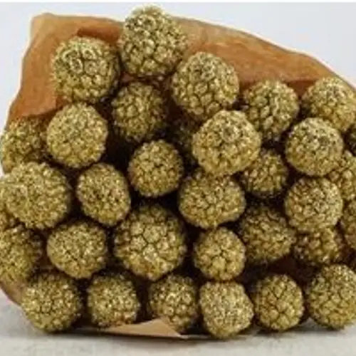 Trocken Atafrucht Gold L55cm x35