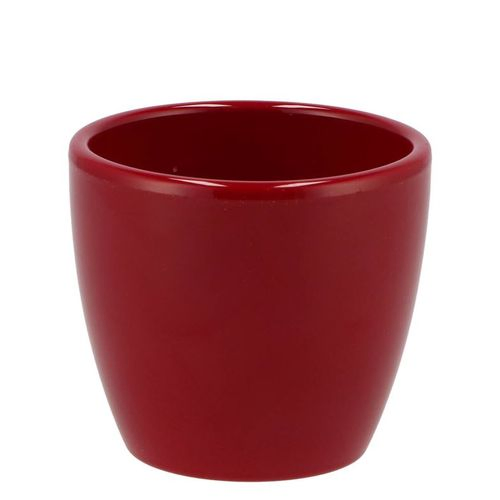 Blumentopf Glanz Weinrot
