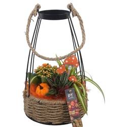 Kal.Arr PTHI5450 Herbst T19 H035