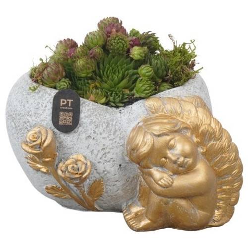 Semper.Arr PTAH3008 Allerheiligen T17 H013