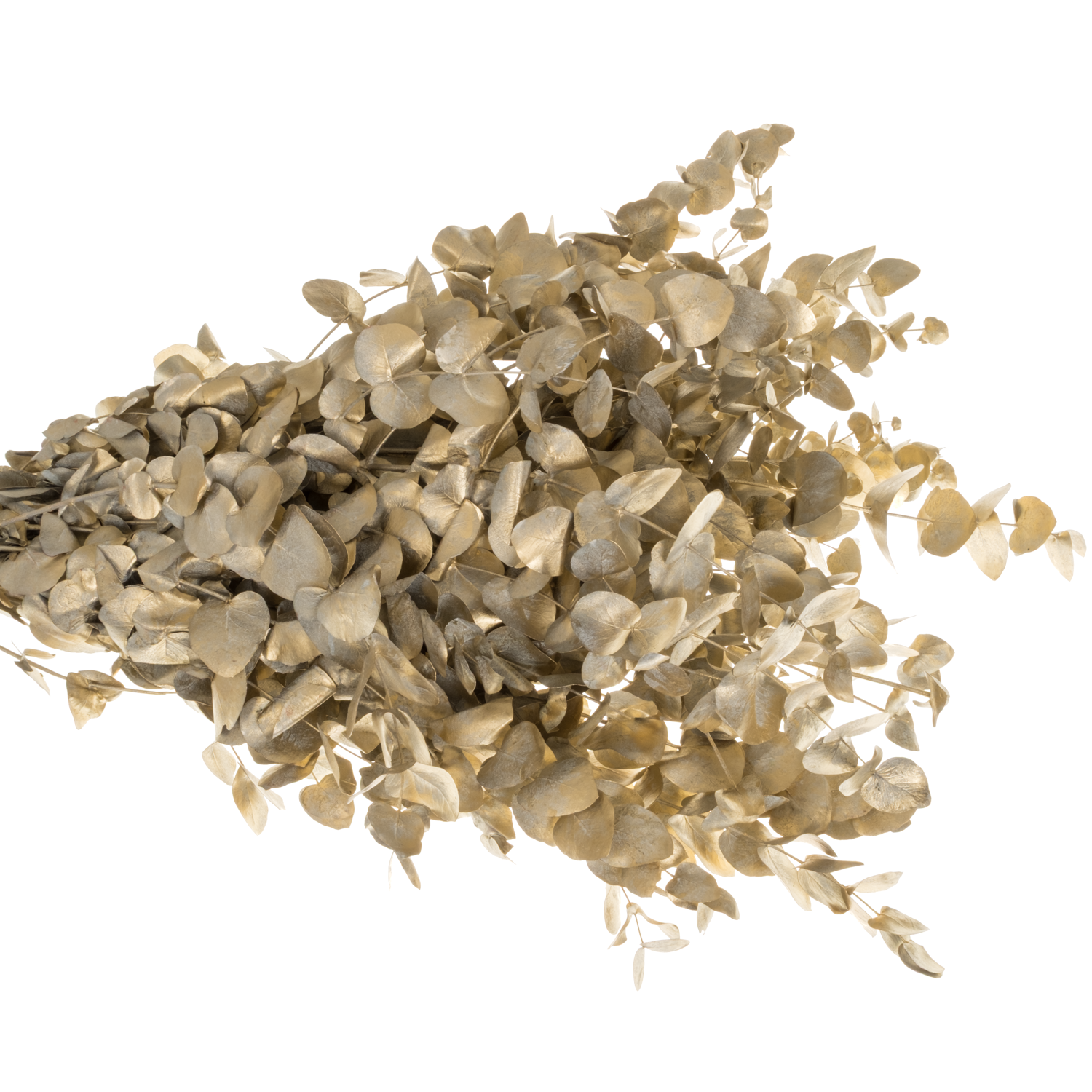 Populus hell grau/gold Shaby Chic gefär 200 Gramm 70cm