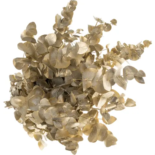Populus hell grau/gold Shaby Chic gefär 200 Gramm 70cm
