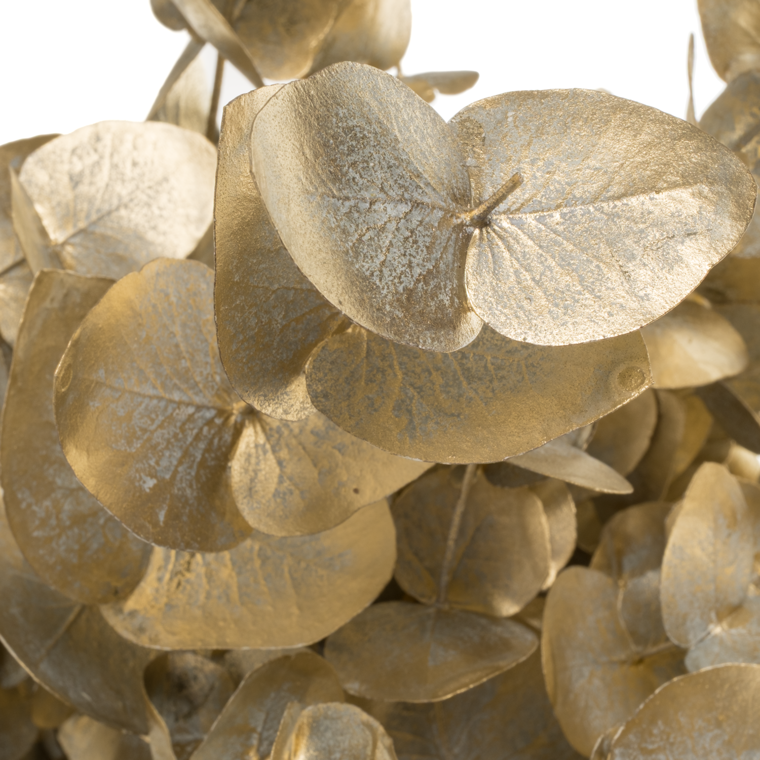 Populus hell grau/gold Shaby Chic gefär 200 Gramm 70cm