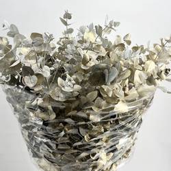 Populus hell grau/gold Shaby Chic gefär 200 Gramm 70cm