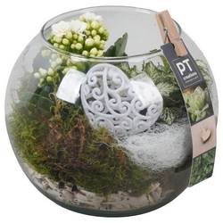 Kal.Arr PTVMG4987 T16 H018