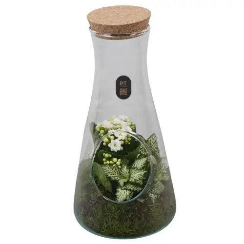 Flor.Arr PTIG2691 T13 H029