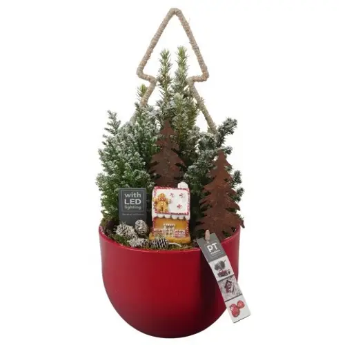 Picea.Arr PTCWW6918 Weihnachten T19 H044