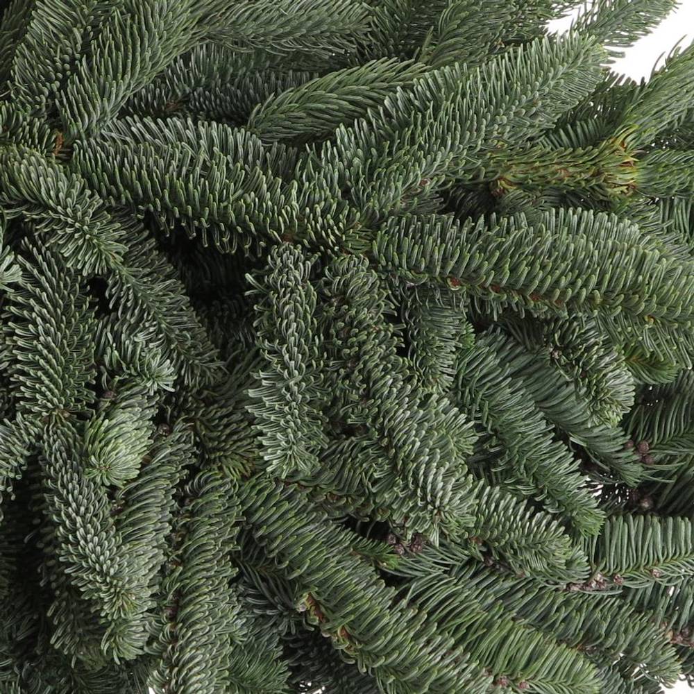 Tanne Nobilis Handbunde x15 500 Gram