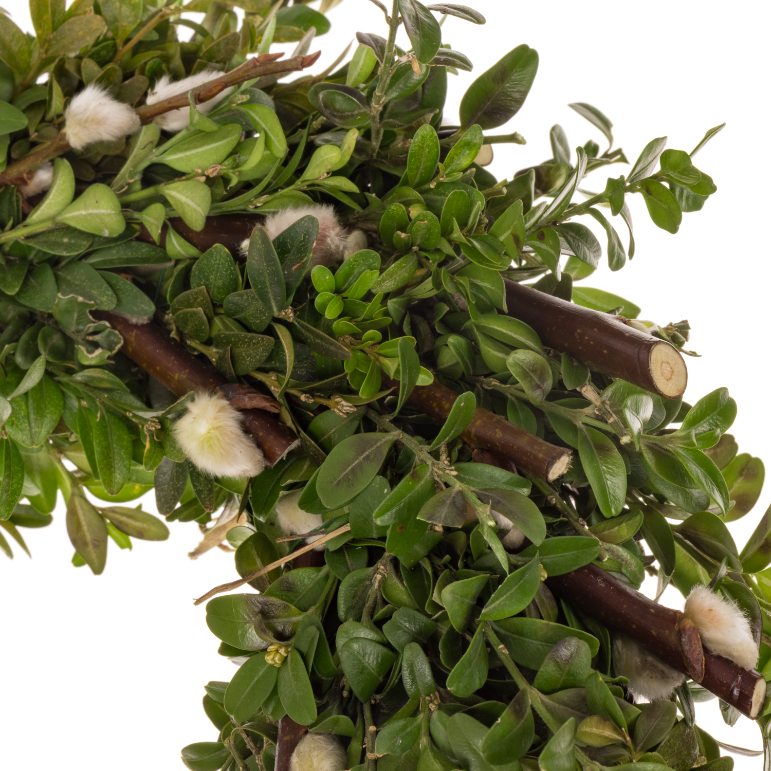 Kranz grün Buchs/Kätzchen D30cm (B09)