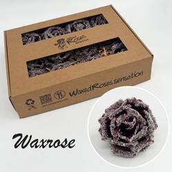 Seiden Wachs Rose eisig weinrot