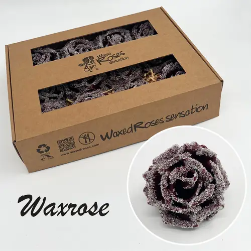 Seiden Wachs Rose eisig weinrot