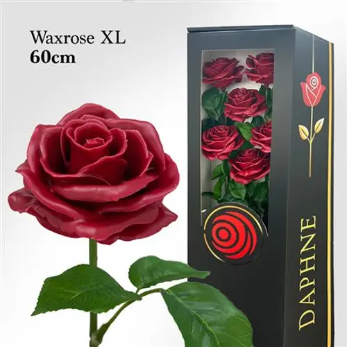 Plastik Wachs Rose XL auf Stiel weinrot L60cm