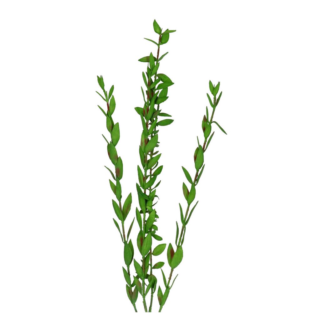 Seiden Parvifolia grün L74cm