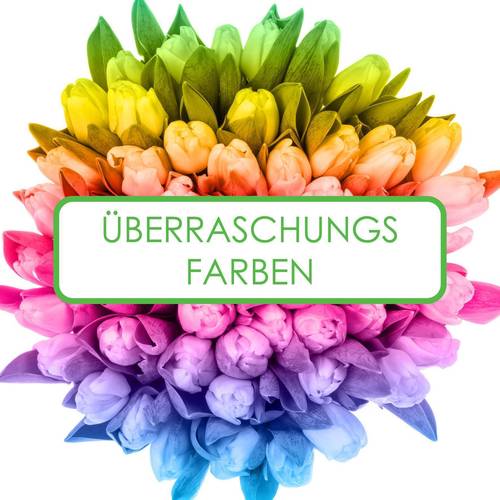 Tulpe 5x50 Sorte 26/28 gramm