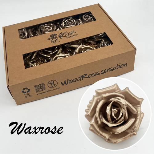 Seiden Wachs Rose champagne