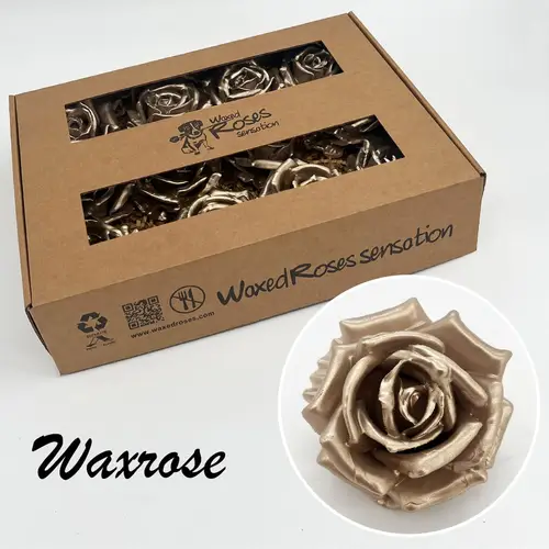 Seiden Wachs Rose champagne