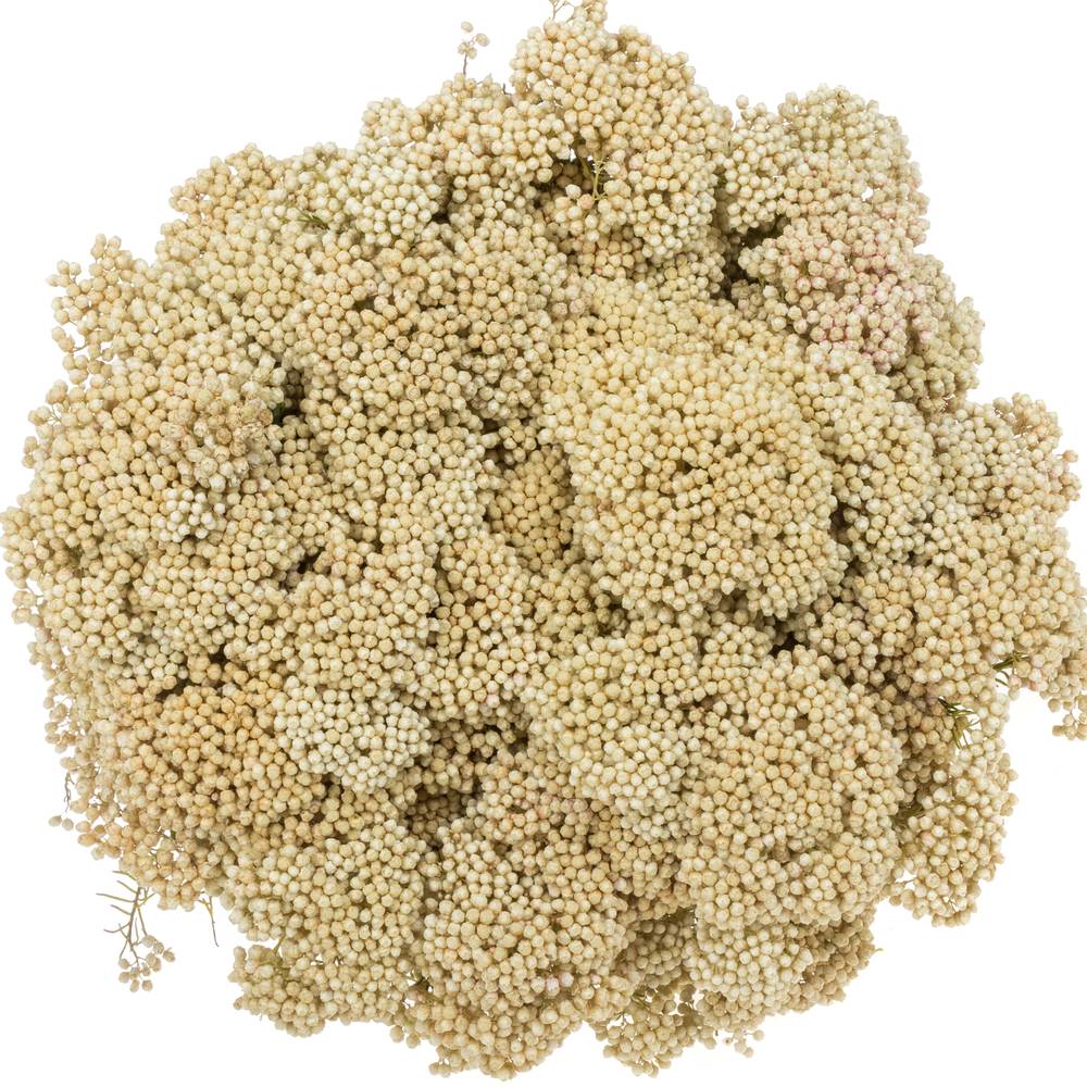 Cooks creme Snow White 80cm