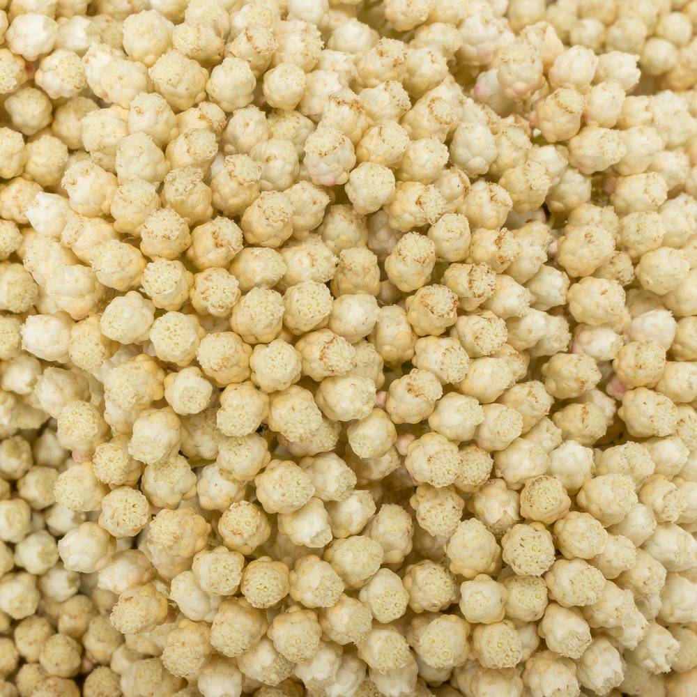 Cooks creme Snow White 80cm