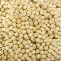 Cooks creme Snow White 80cm