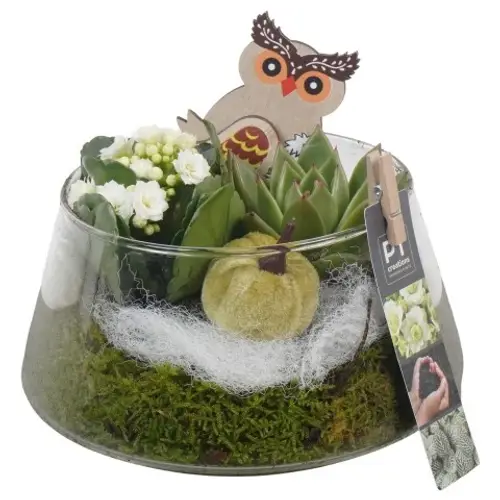 Kal.Arr PTHG3401 Herbst T18 H016