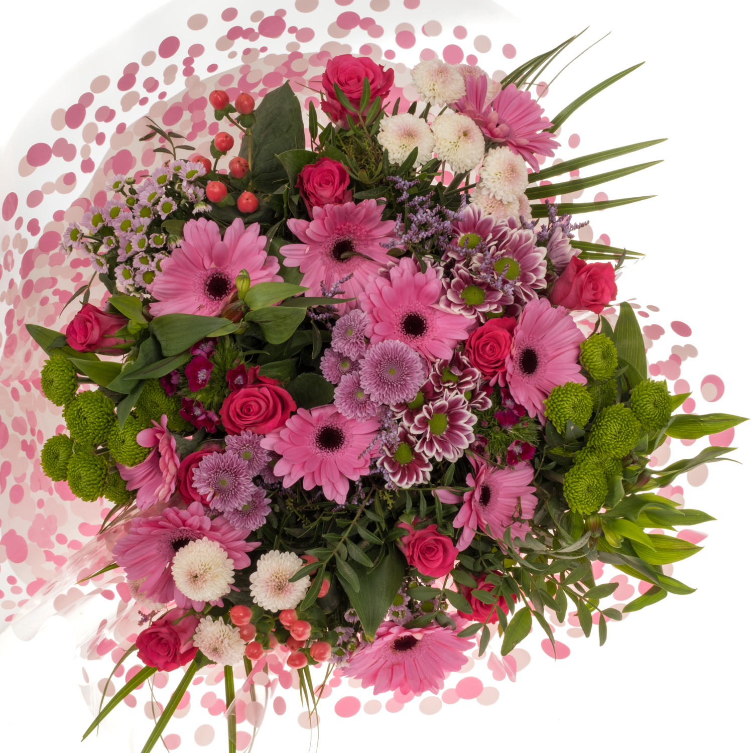Strauß rosa mix/grün Rosen-Germini 25 Stiele 50cm
