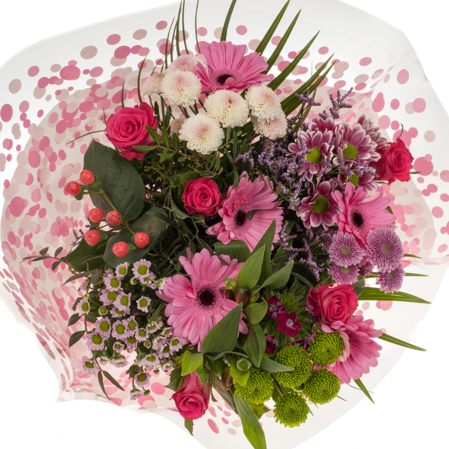 Strauß rosa mix/grün Rosen-Germini 25 Stiele 50cm