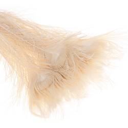 Pfauenfeder weiss 9