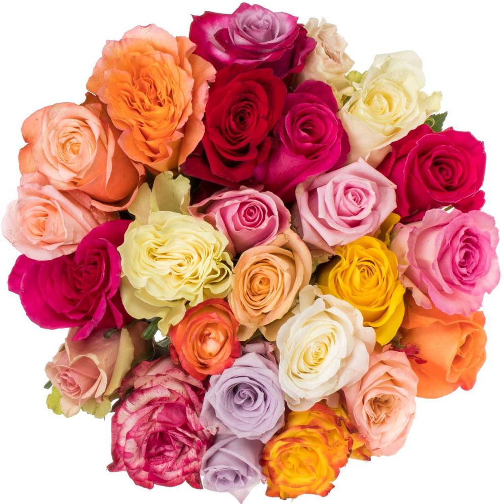Rose mix Im Bund (Ec) 60cm
