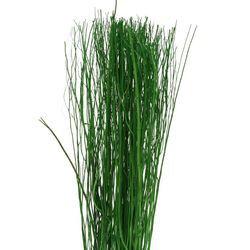 Yanagi Bunch grün L90cm 250gr