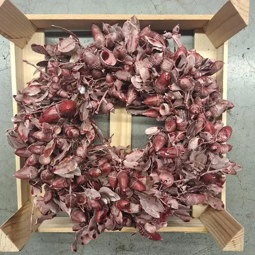 Kranz Steineich rot Wachs D30cm