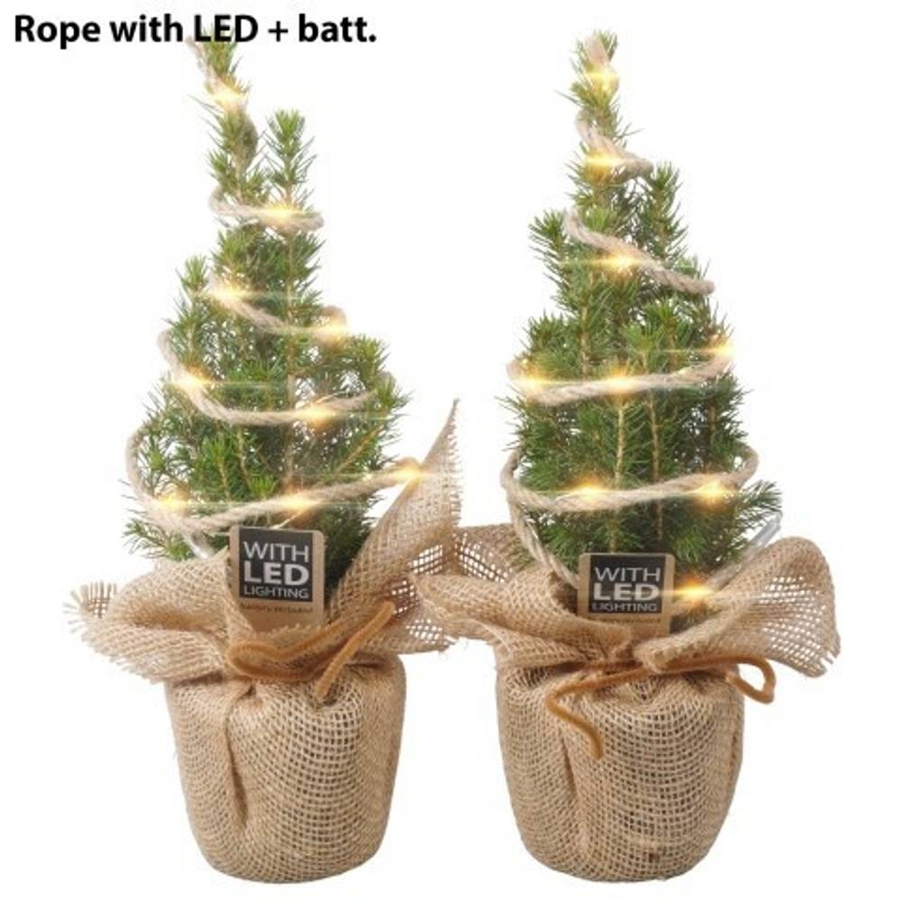 Picea Glauca Conica PTK25332 Jute +LED T09 H030