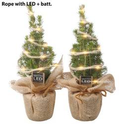 Picea Glauca Conica PTK25332 Jute +LED T09 H030