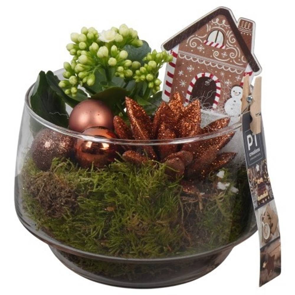 Kal.Arr PTCHB9861 Weihnachten T17 H021