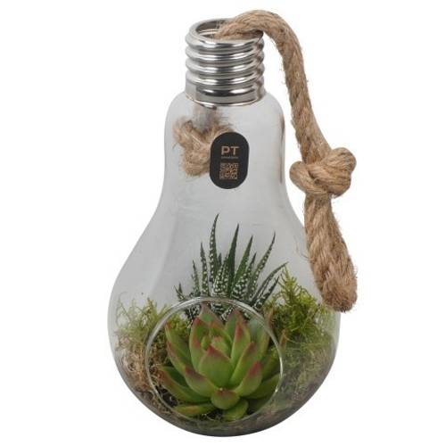 Flor.Arr PTIG2709 T12 H023