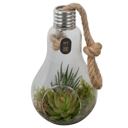 Flor.Arr PTIG2709 T12 H023