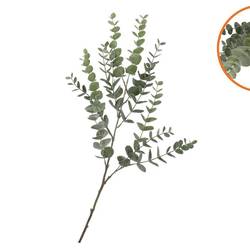 Seiden Eucalyptus grün Stiel L86cm