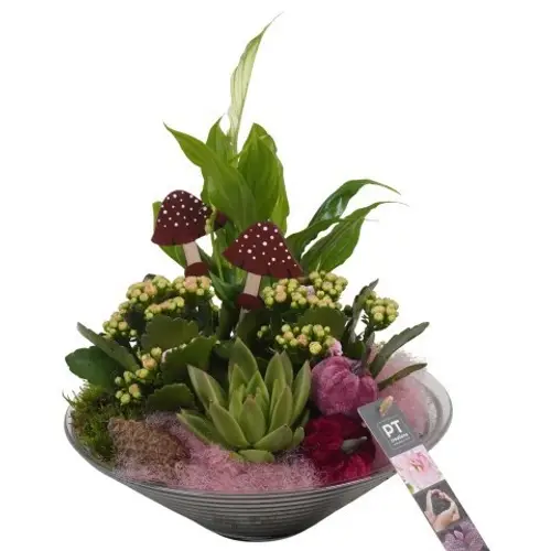 Spath.Arr PTHG3332 Herbst T26 H032