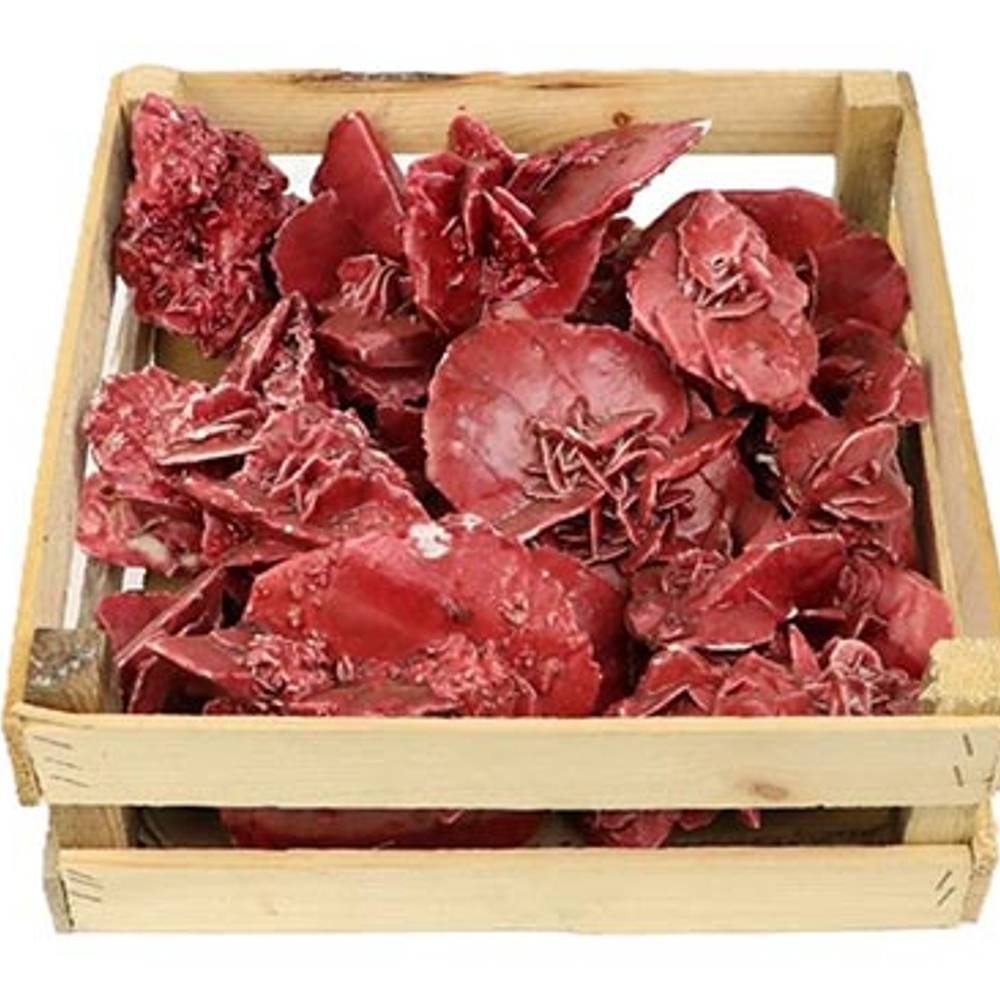 Seiden Wachs Rose bordeaux in Kiste 39x39x12cm