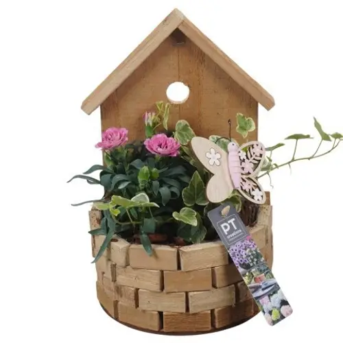 Garten.Arr PTPP6989 T16 H027