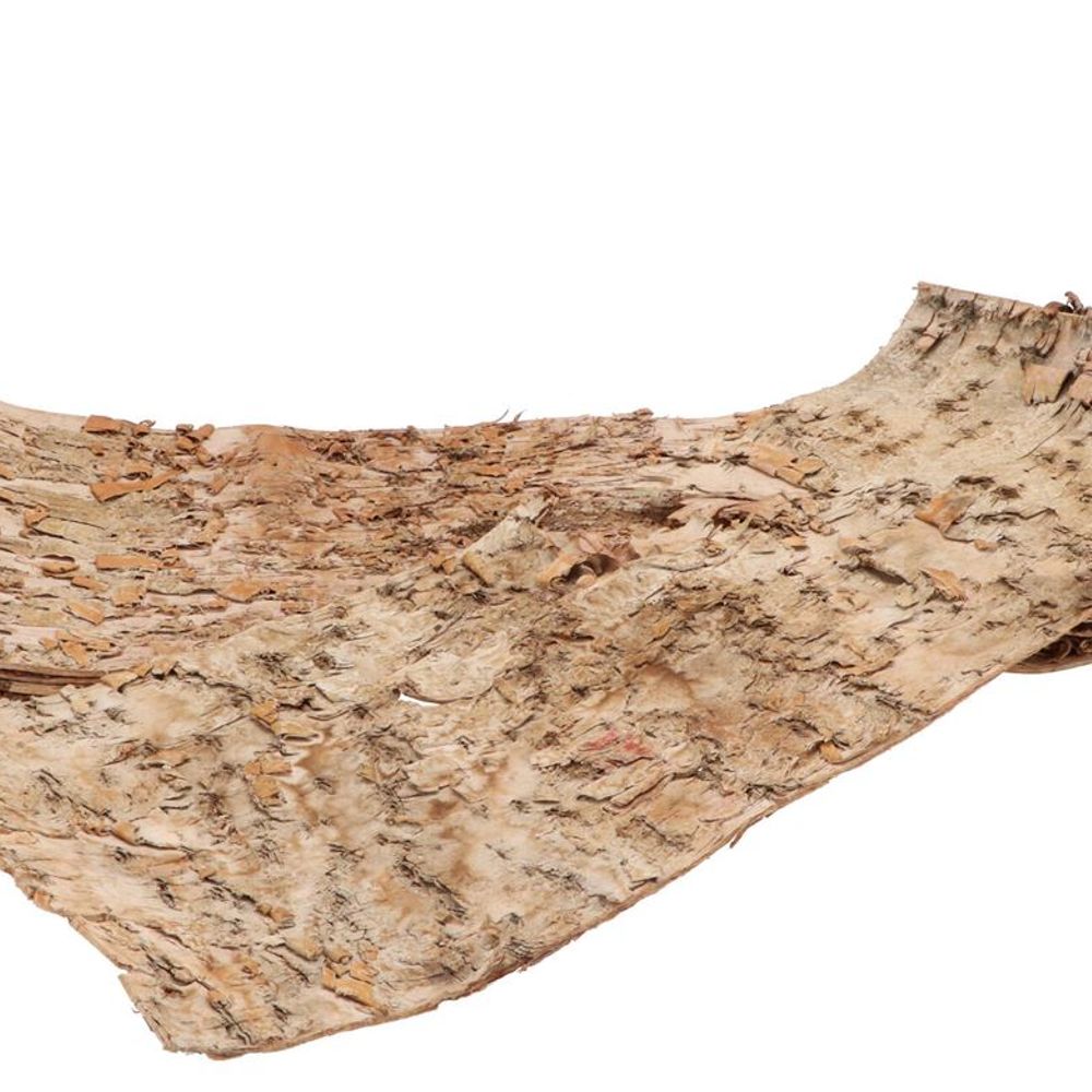 Trocken Birke natur weiss 24x70cm x5