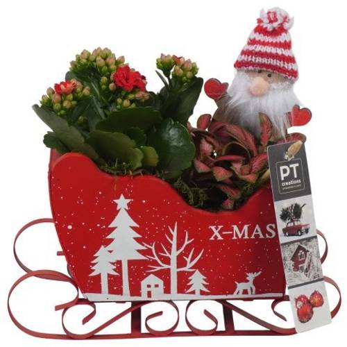 Kal.Arr PTCHR7396 Weihnachten T19 H020