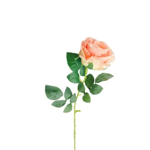 Seiden Rose lachs L65cm