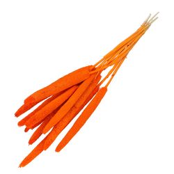 Trocken Bapala orange L65cm x10