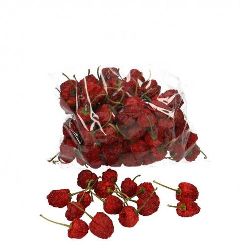 Trocken Chilischoten Früchten 200gr