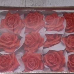 Seiden Wachs Rose orange D10-12cm im Kiste
